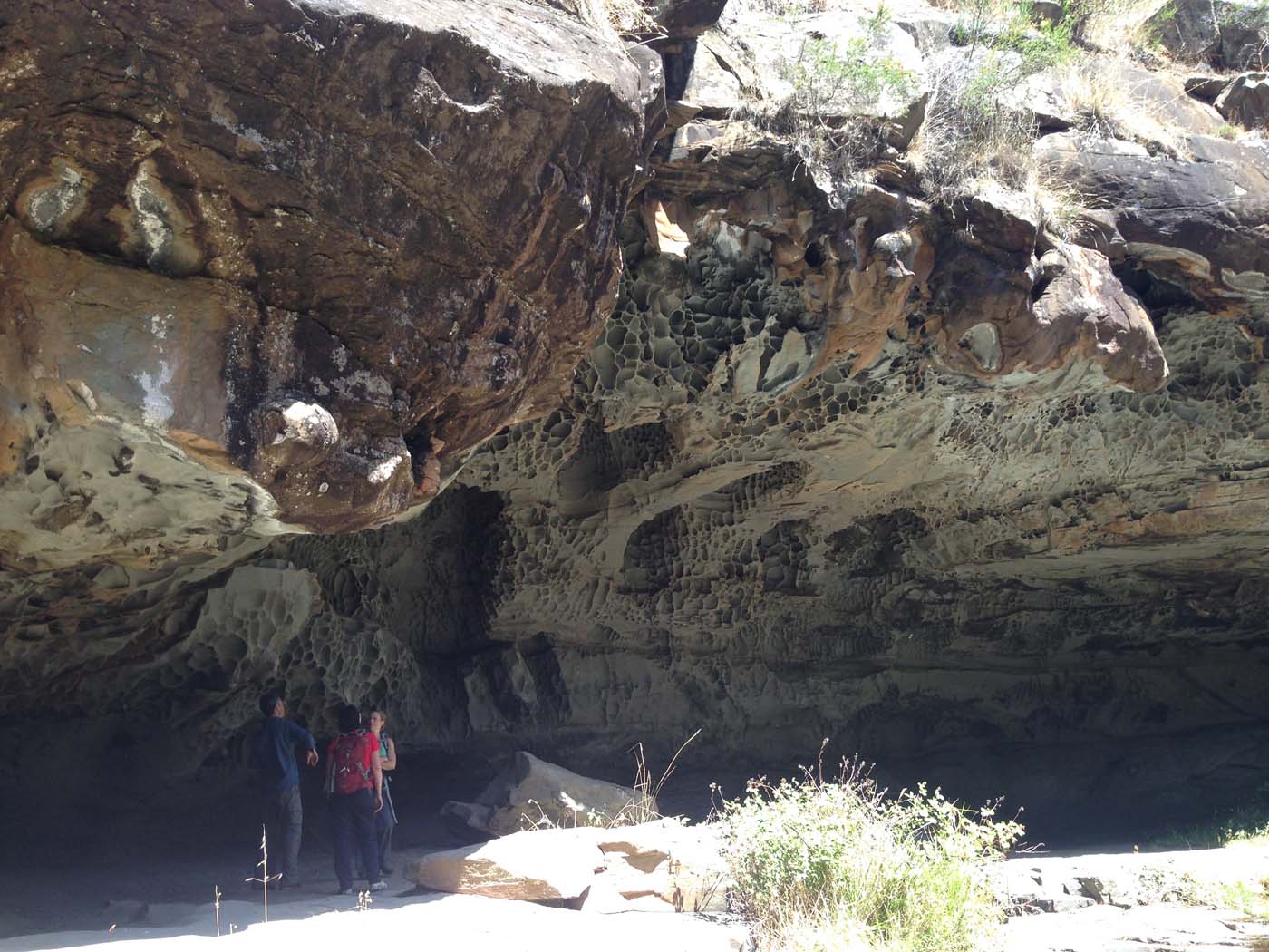 Lorne waterfalls hike (27)