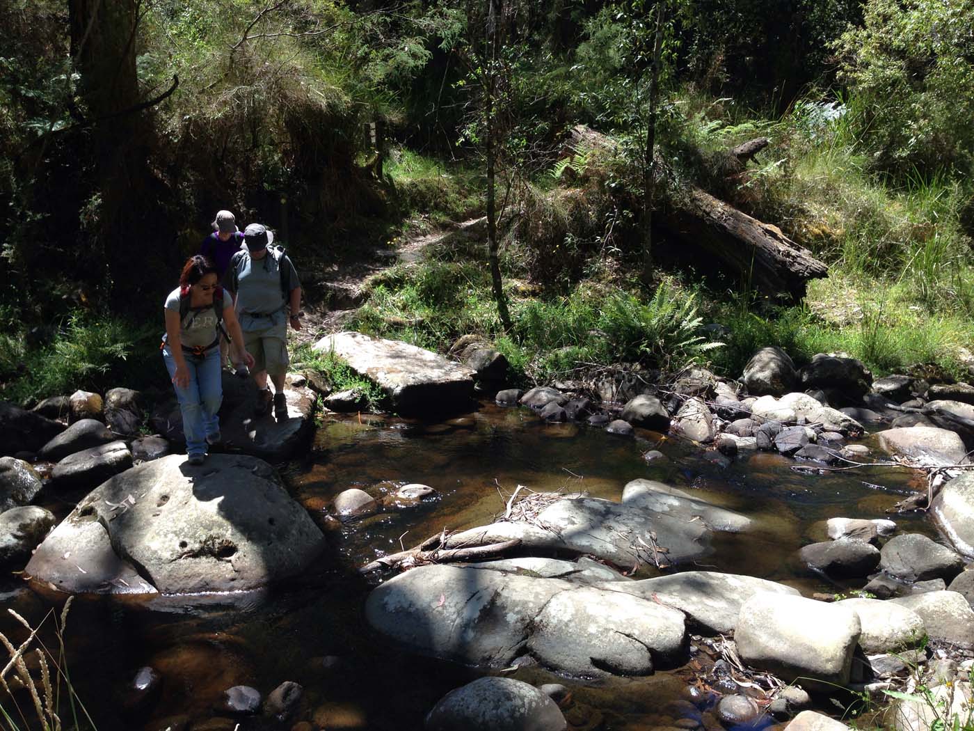 Lorne waterfalls hike (3)