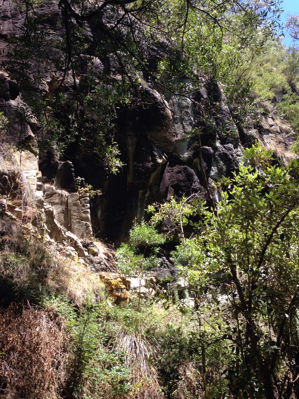 Lorne waterfalls hike (4)