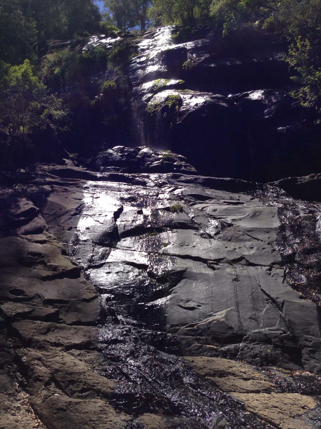 Lorne waterfalls hike (8)