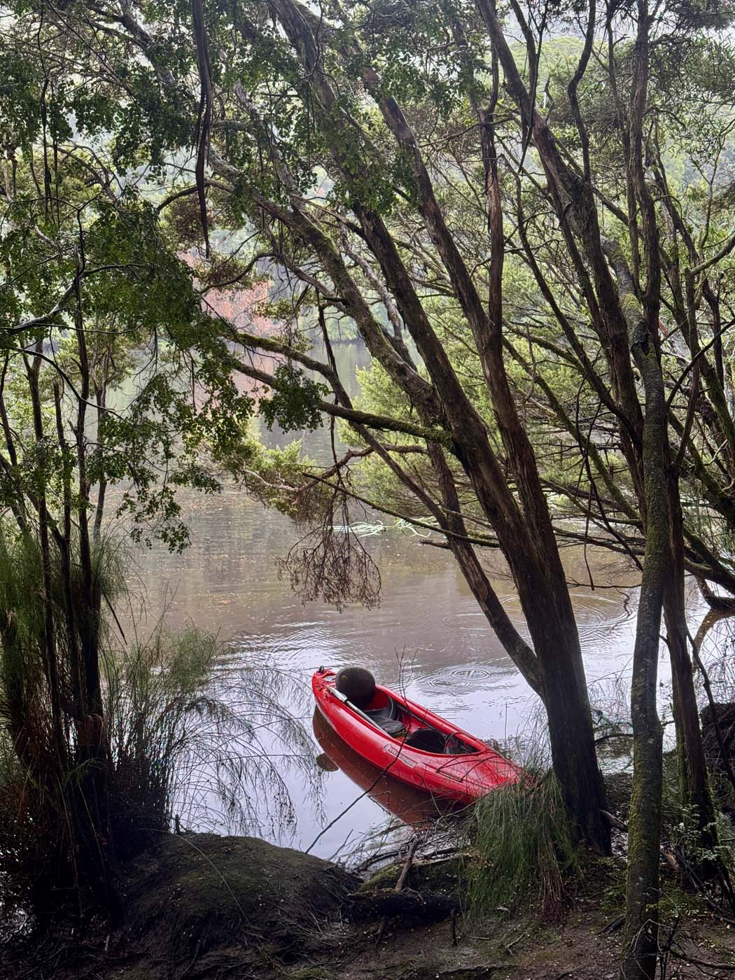 Lovers falls paddle and hike (12)