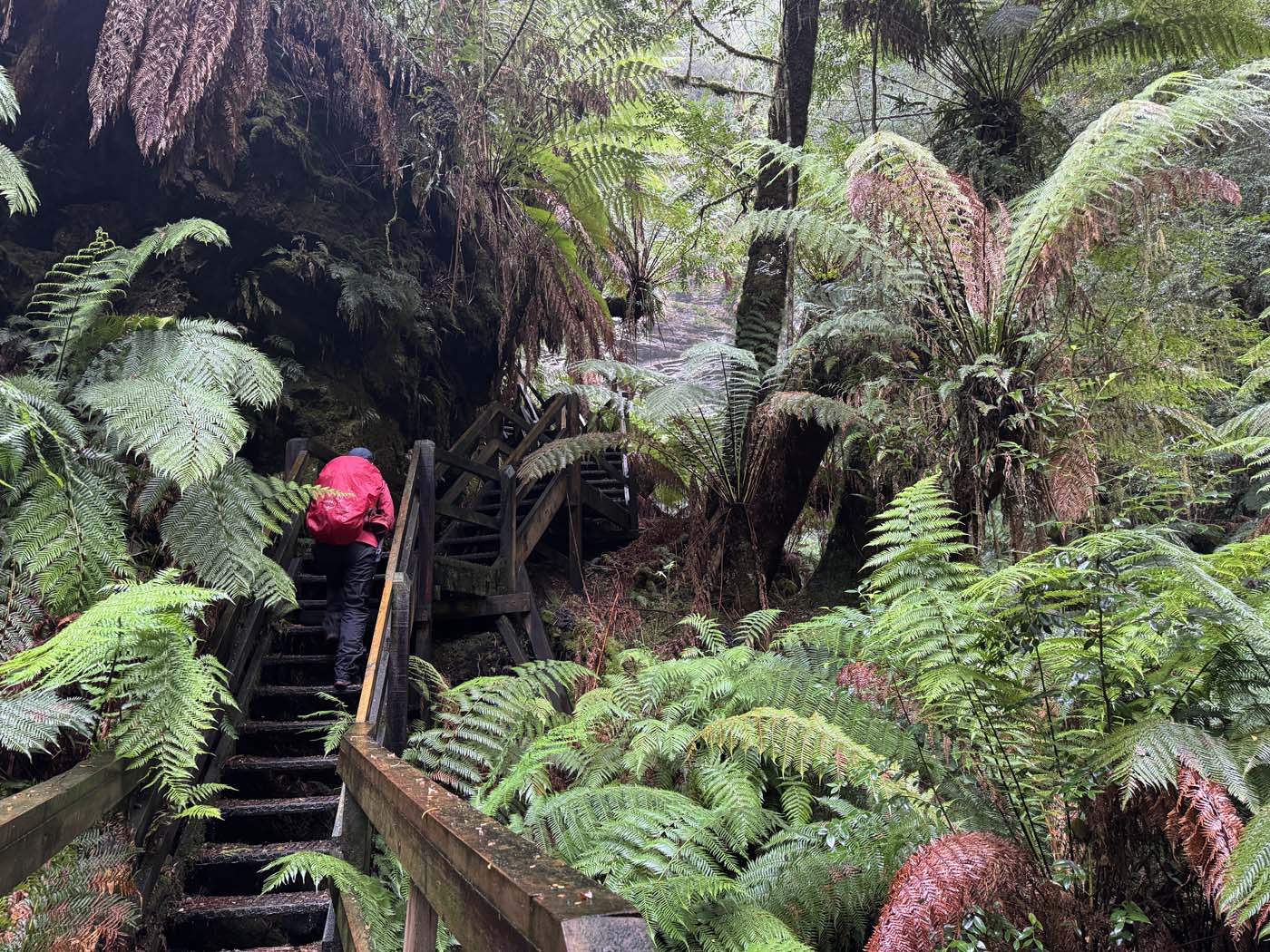 Lovers falls paddle and hike (6)