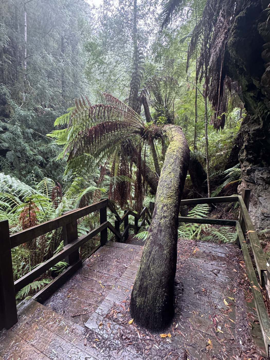 Lovers falls paddle and hike (7)