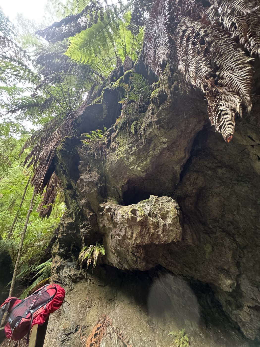 Lovers falls paddle and hike (8)