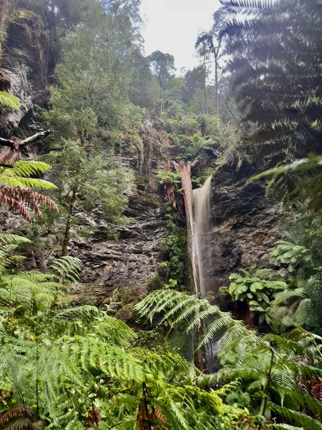 Lovers falls paddle and hike (9)