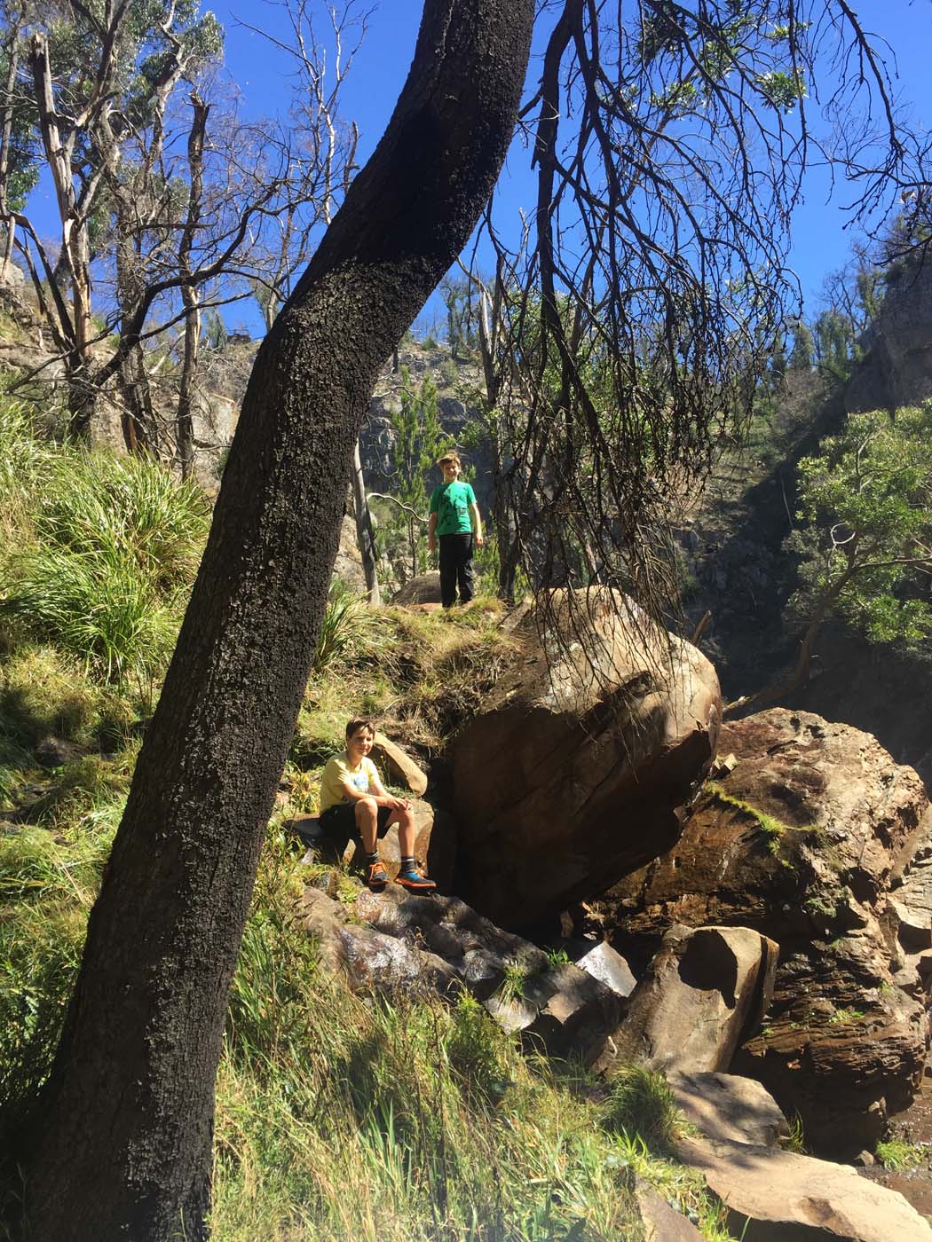 Mackenzie falls circuit grampians (11)