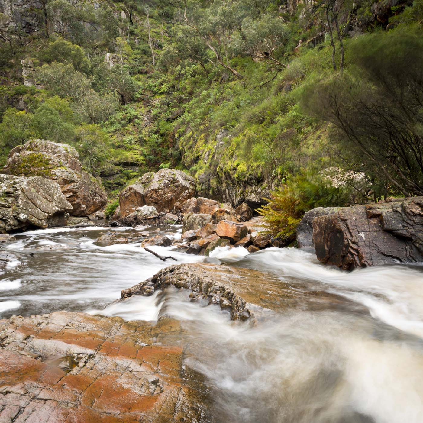 Mackenzie falls circuit grampians (3)