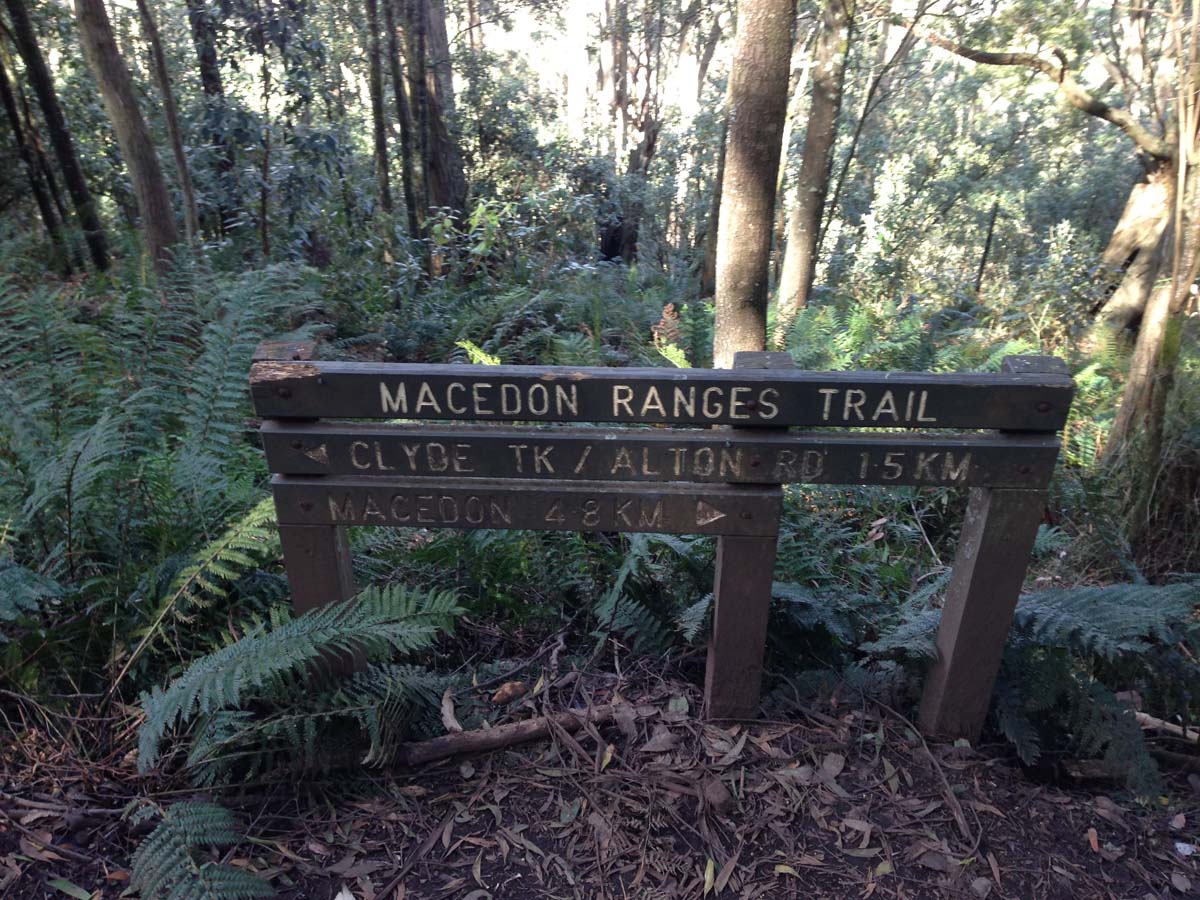 Macedon ranges walking trail 15