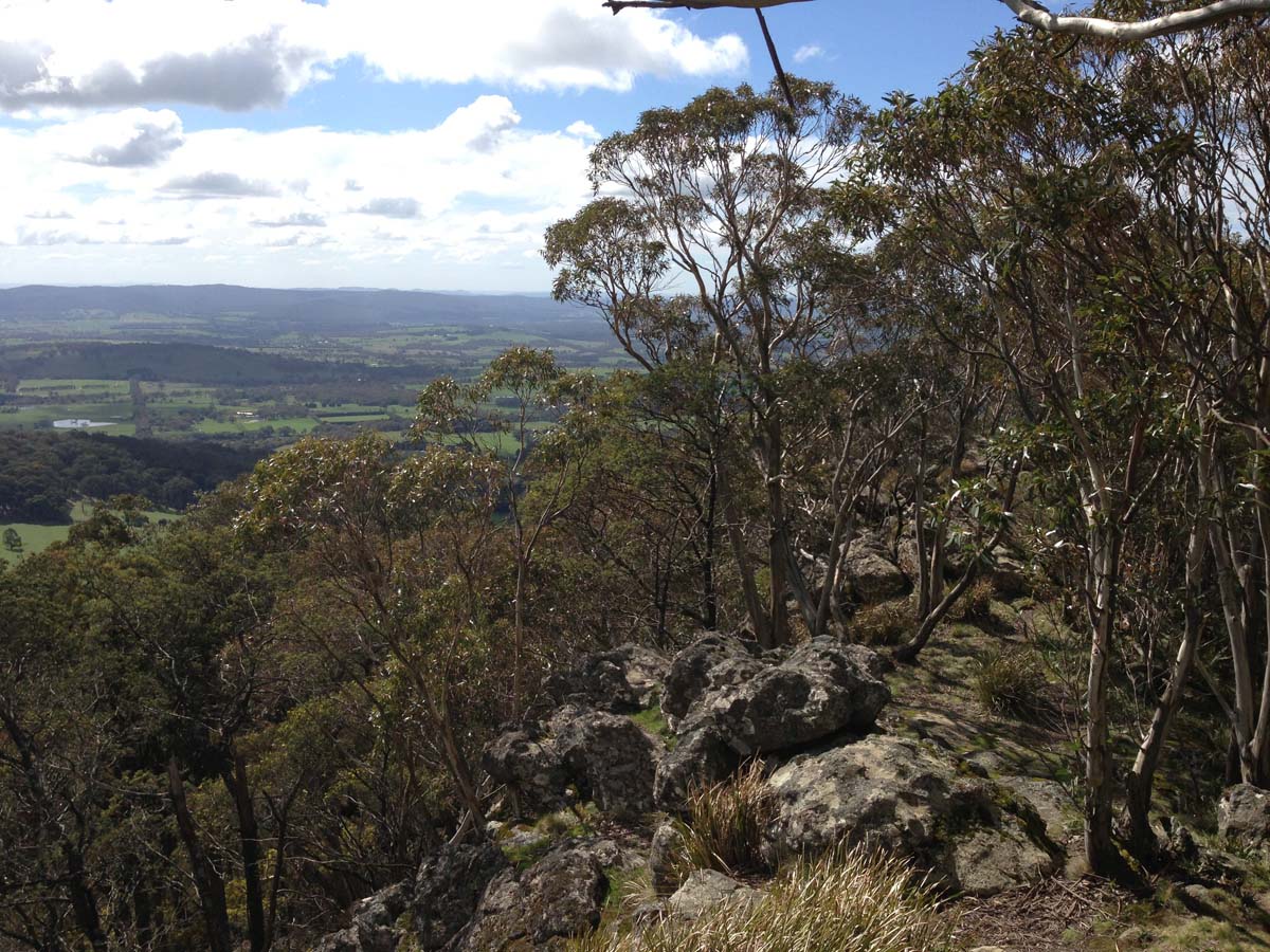 Macedon ranges walking trail 26