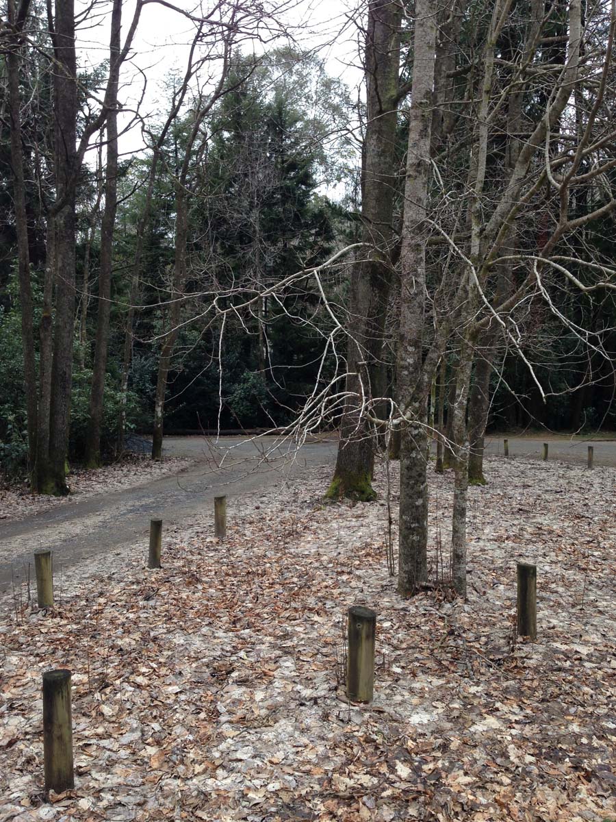 Macedon ranges walking trail 3