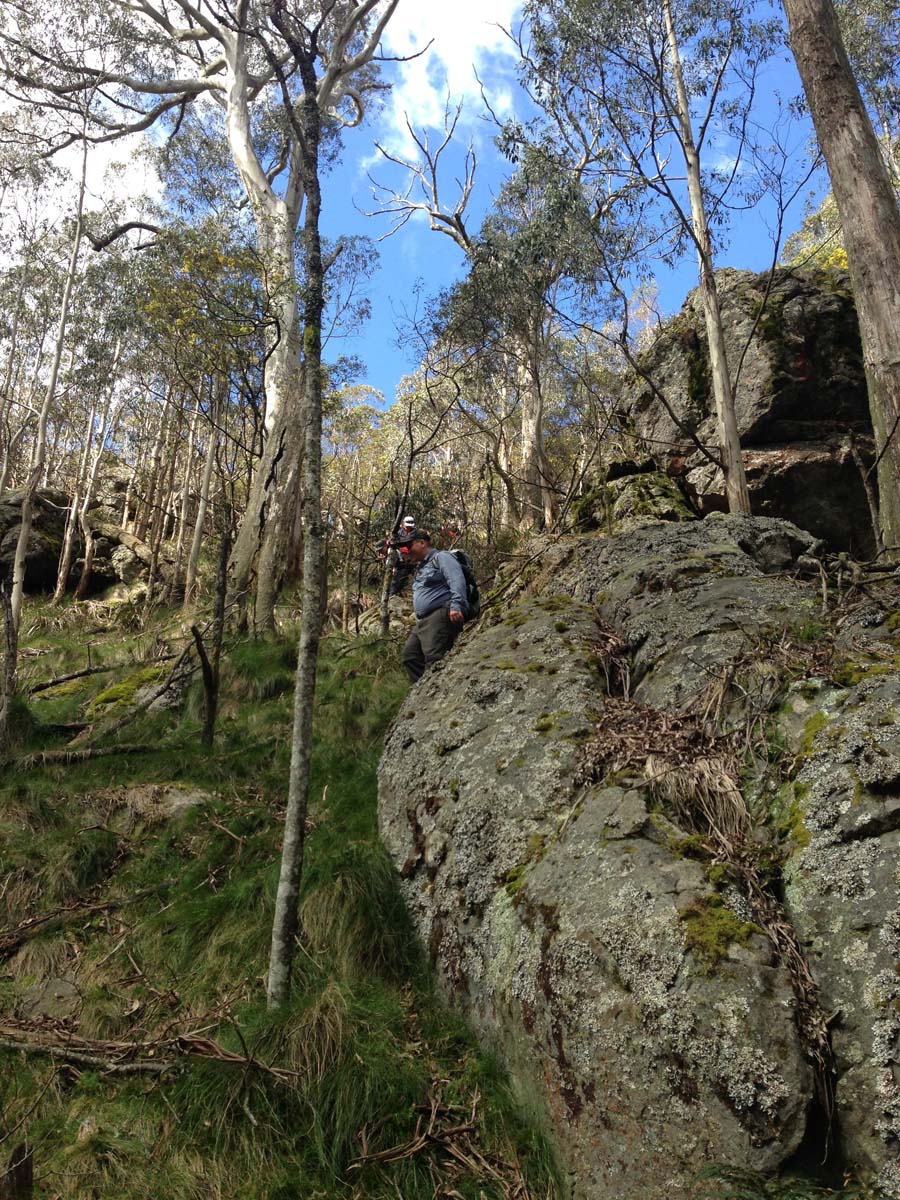 Macedon ranges walking trail 31
