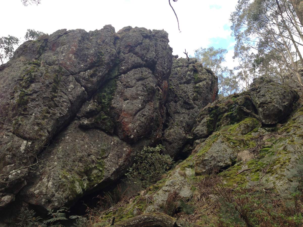 Macedon ranges walking trail 32