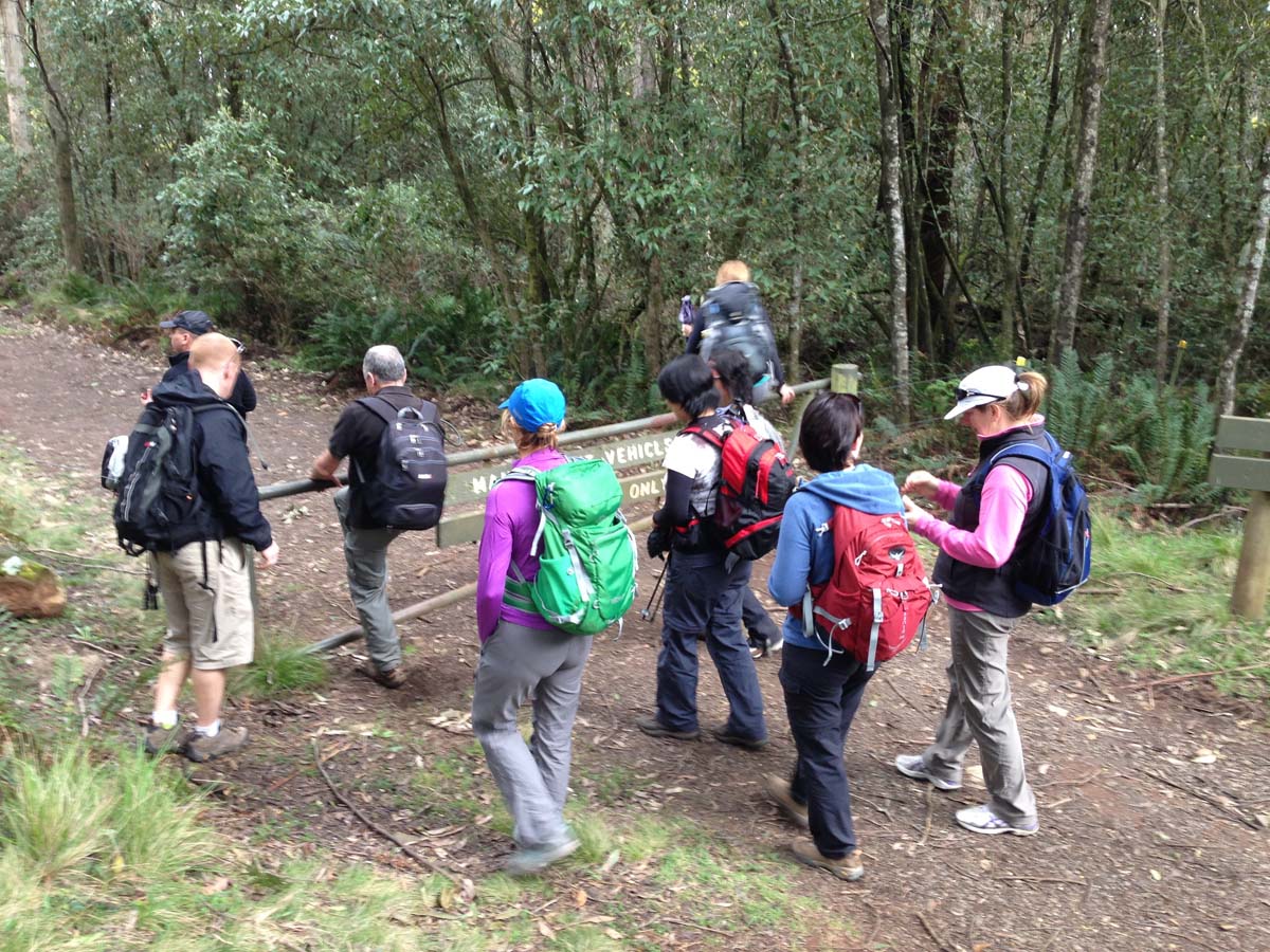 Macedon ranges walking trail 4