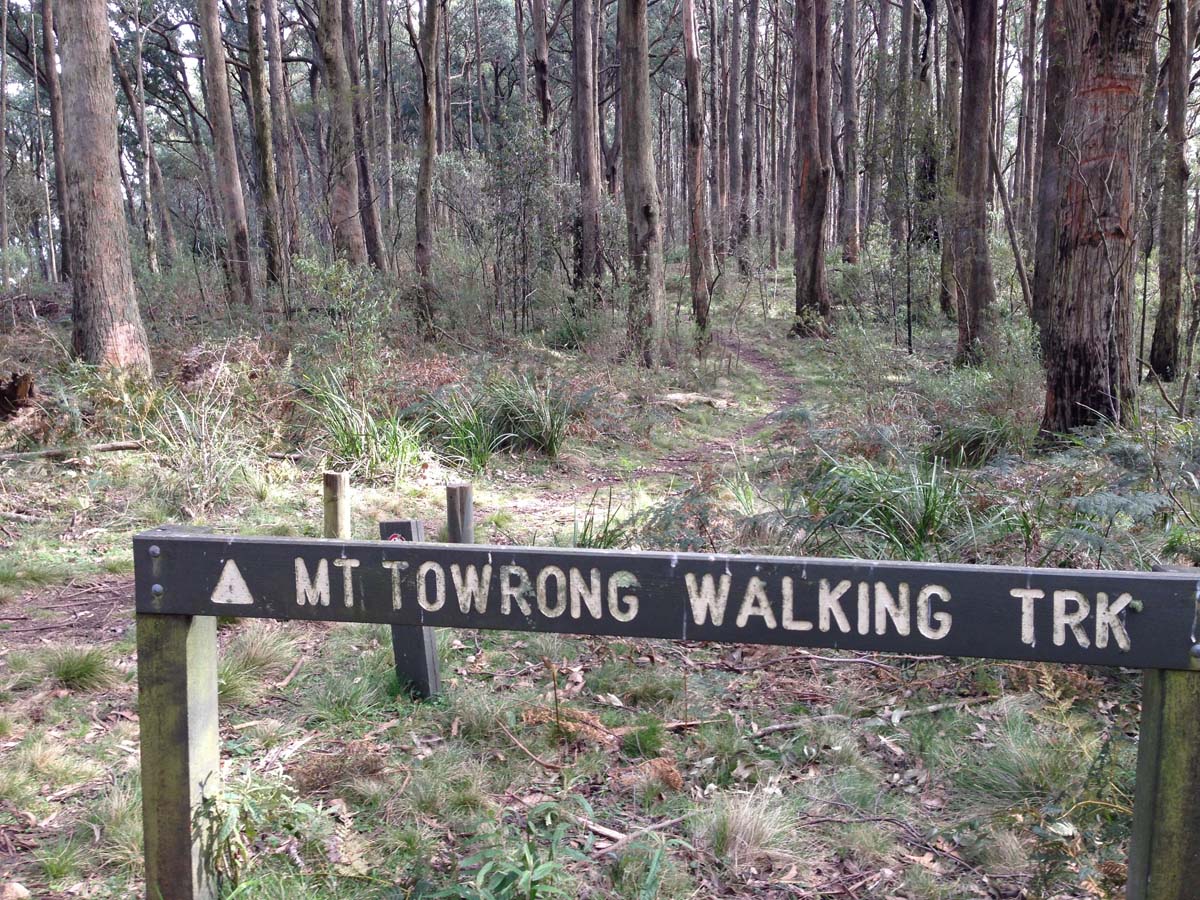 Macedon ranges walking trail 5