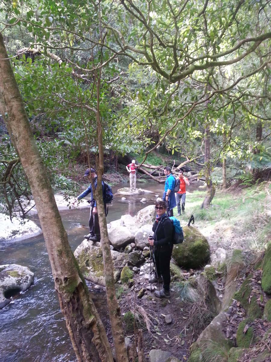 Mack's creek loop hike 18