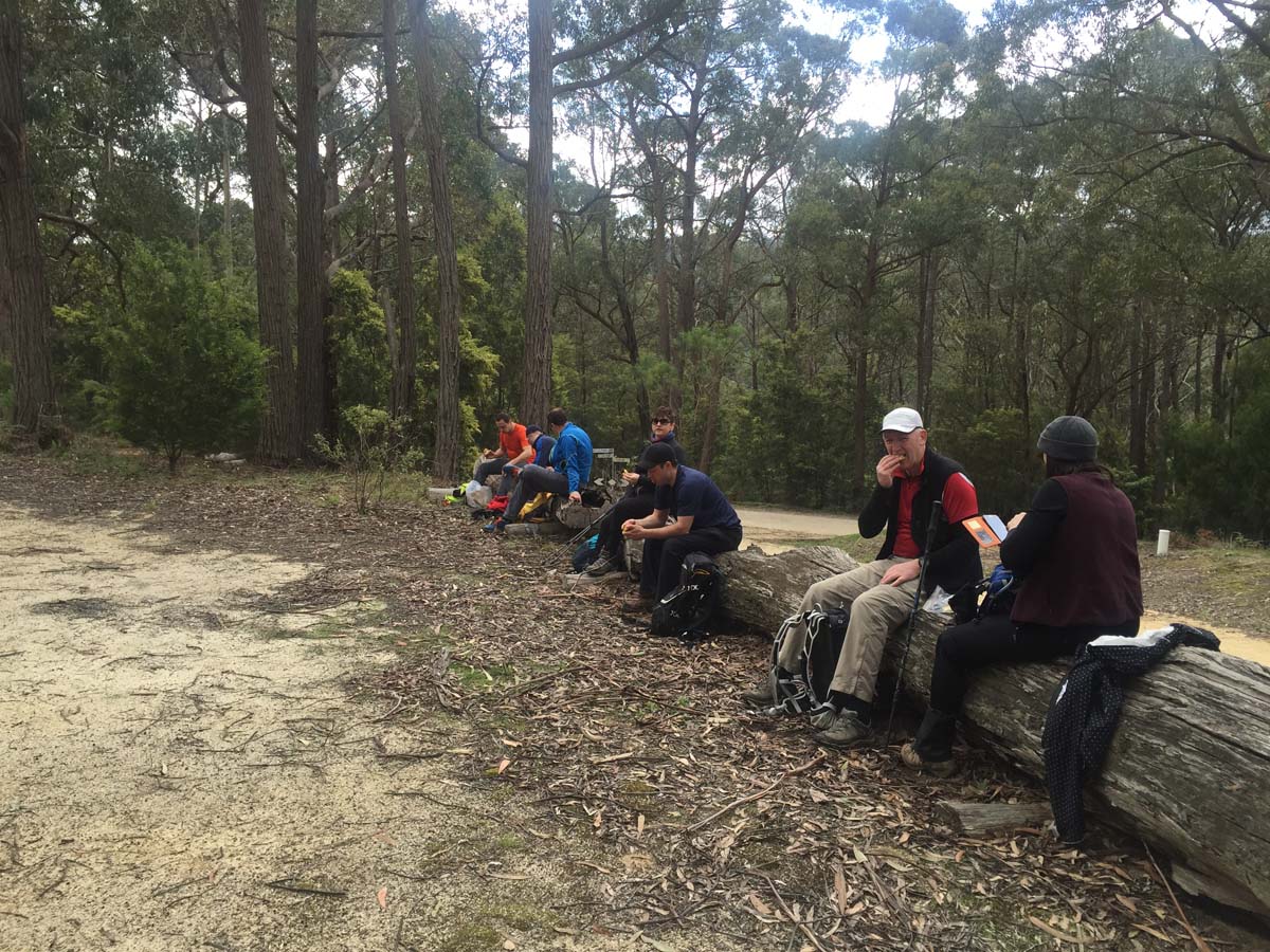 Mack's creek loop hike 3