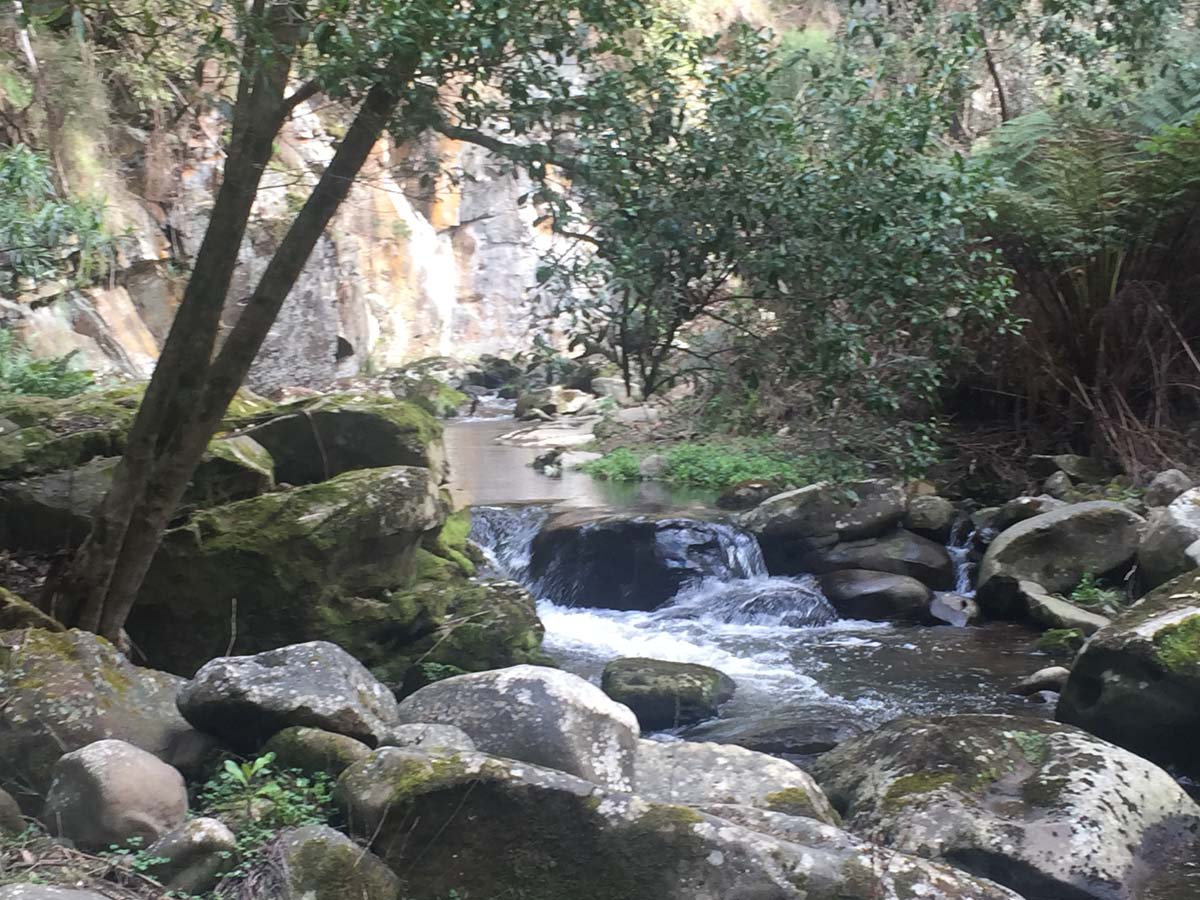 Mack's creek loop hike 6