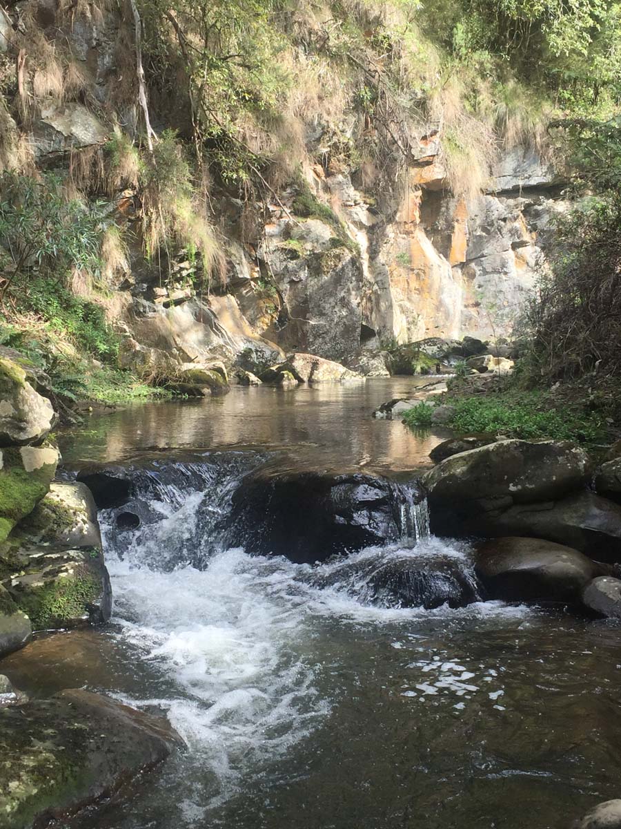 Mack's creek loop hike 7
