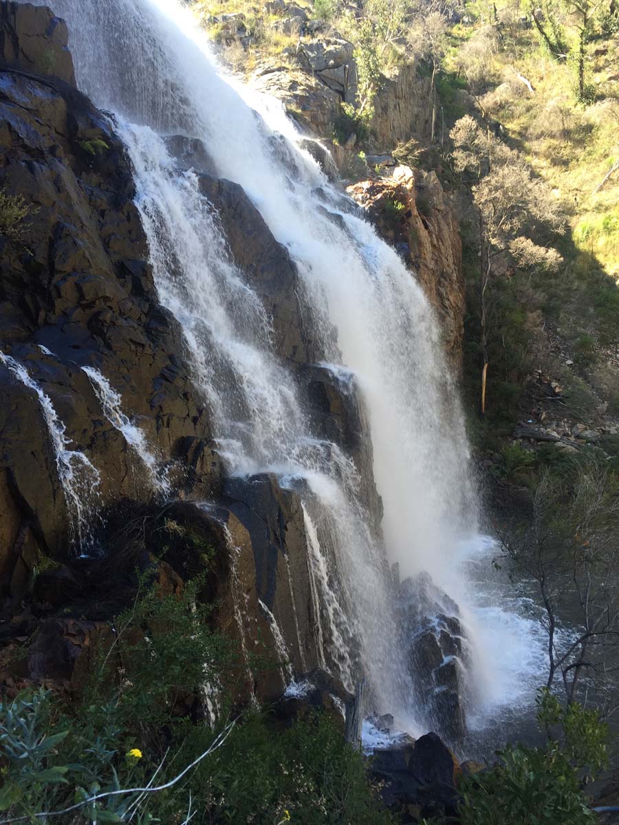 Mackenzie falls walk 1
