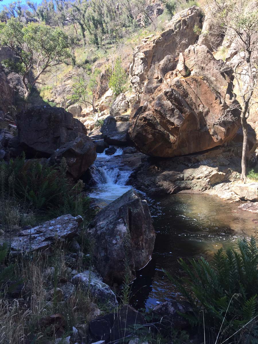 Mackenzie falls walk 6