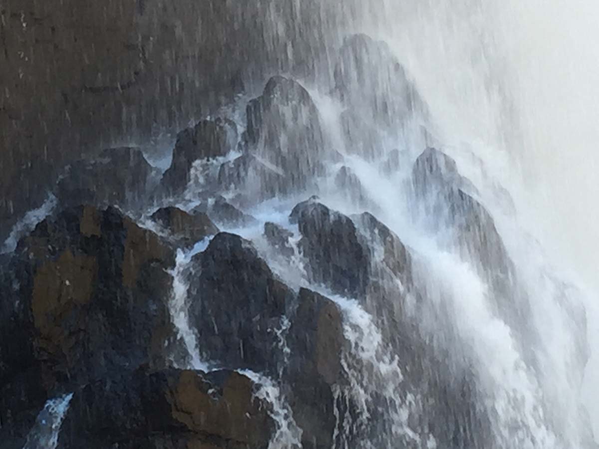 Mackenzie falls walk 8