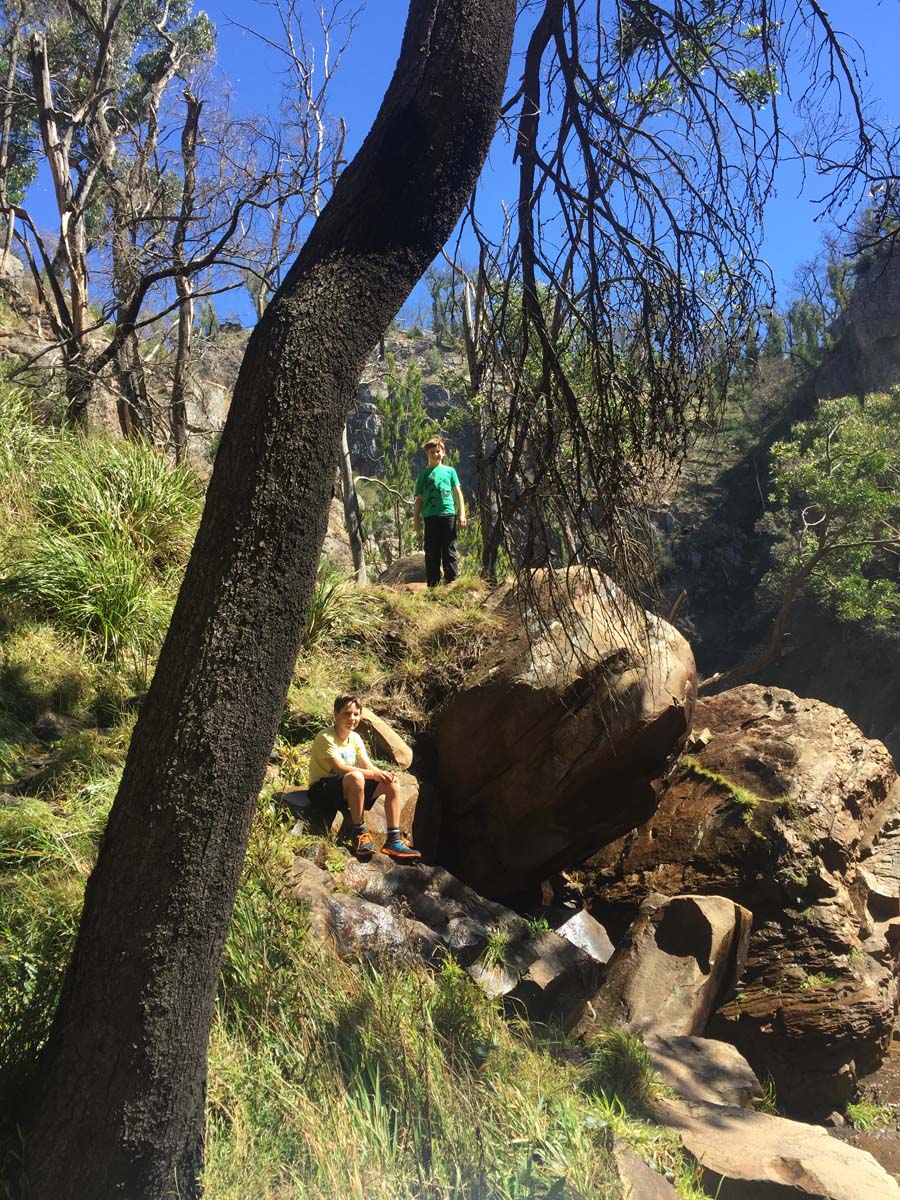 Mackenzie falls walk 9