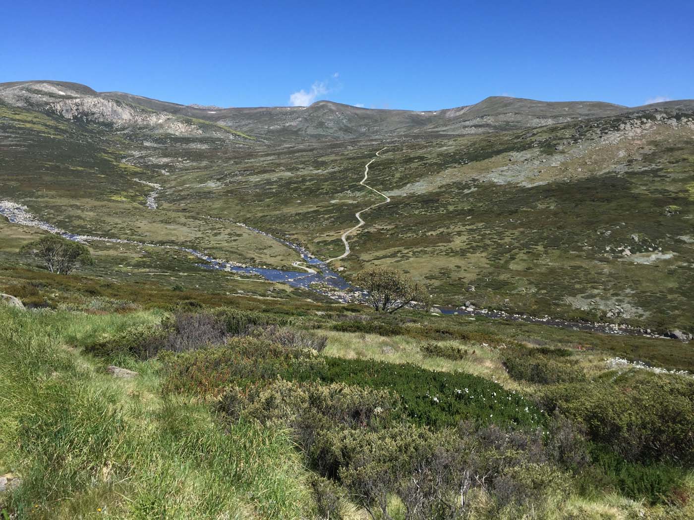 Main range walking track (1)