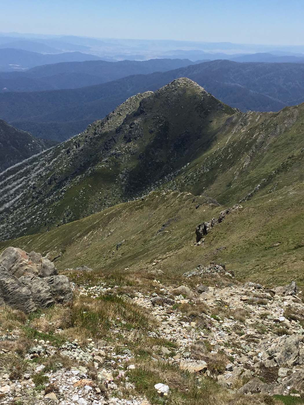 Main range walking track (12)