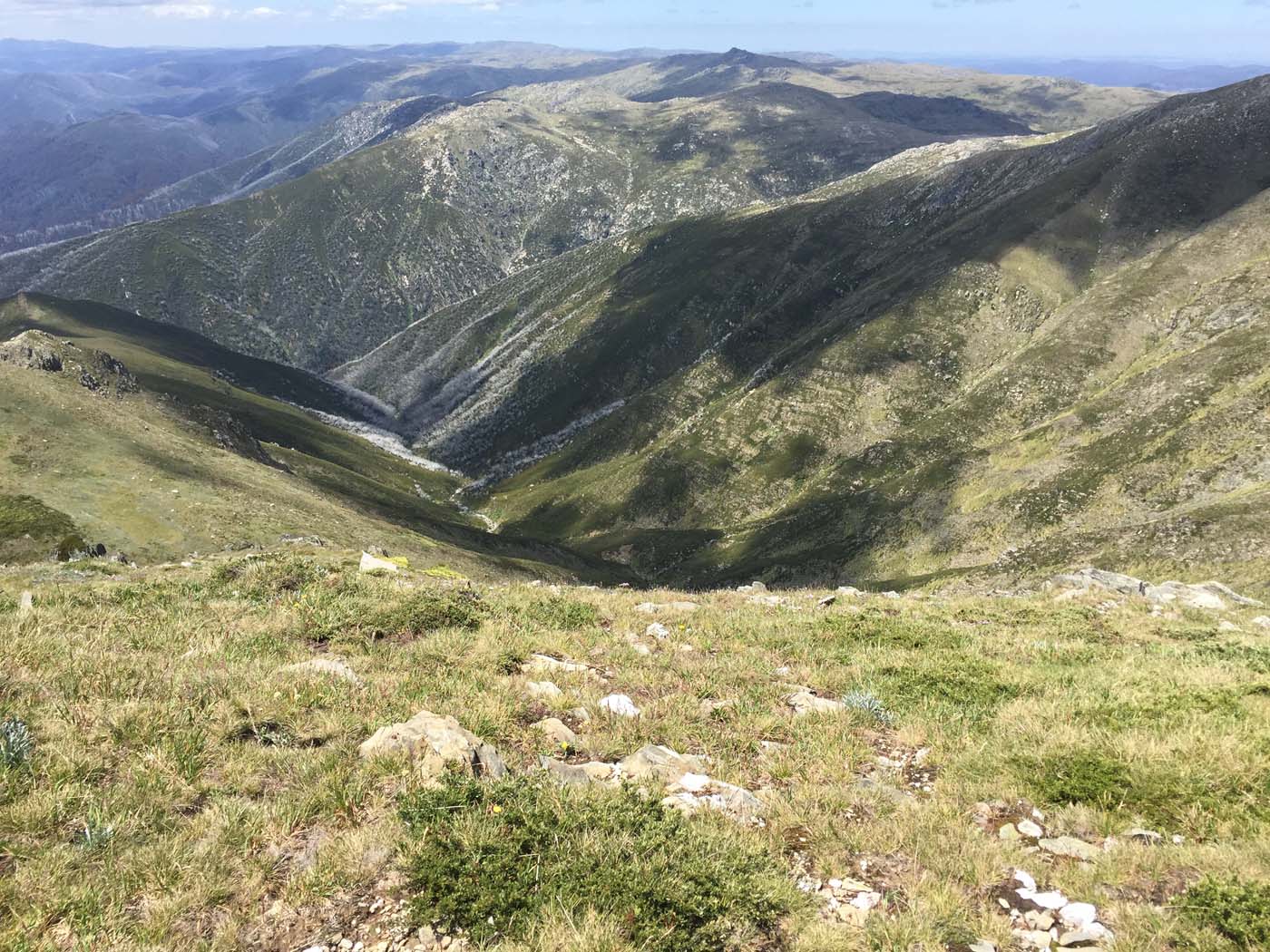 Main range walking track (18)