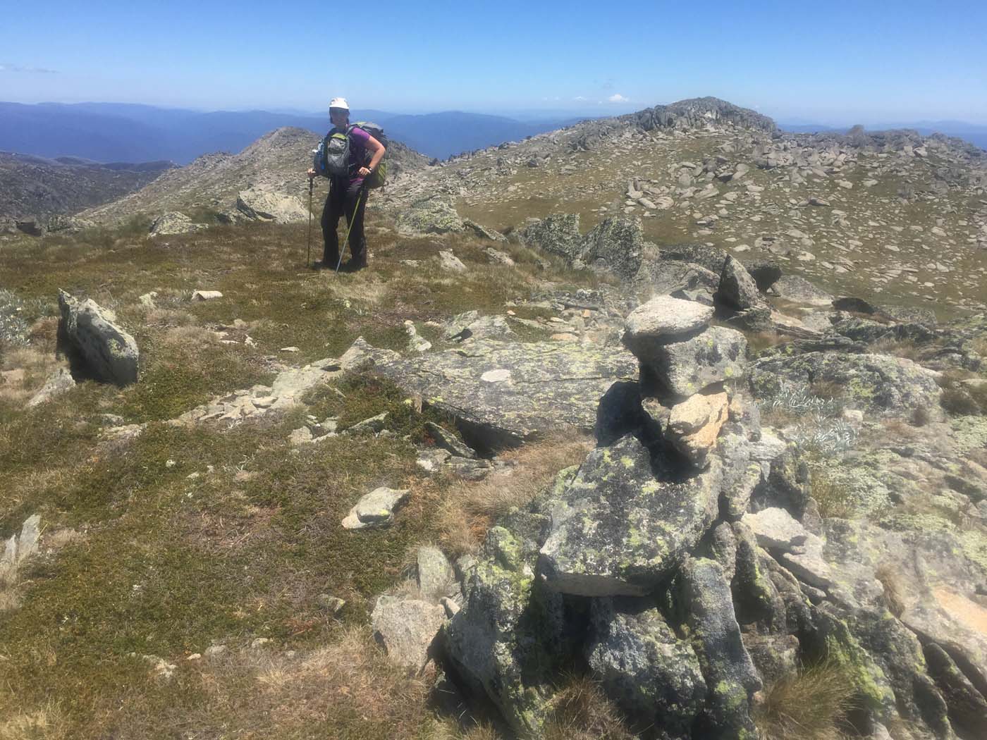 Main range walking track (26)