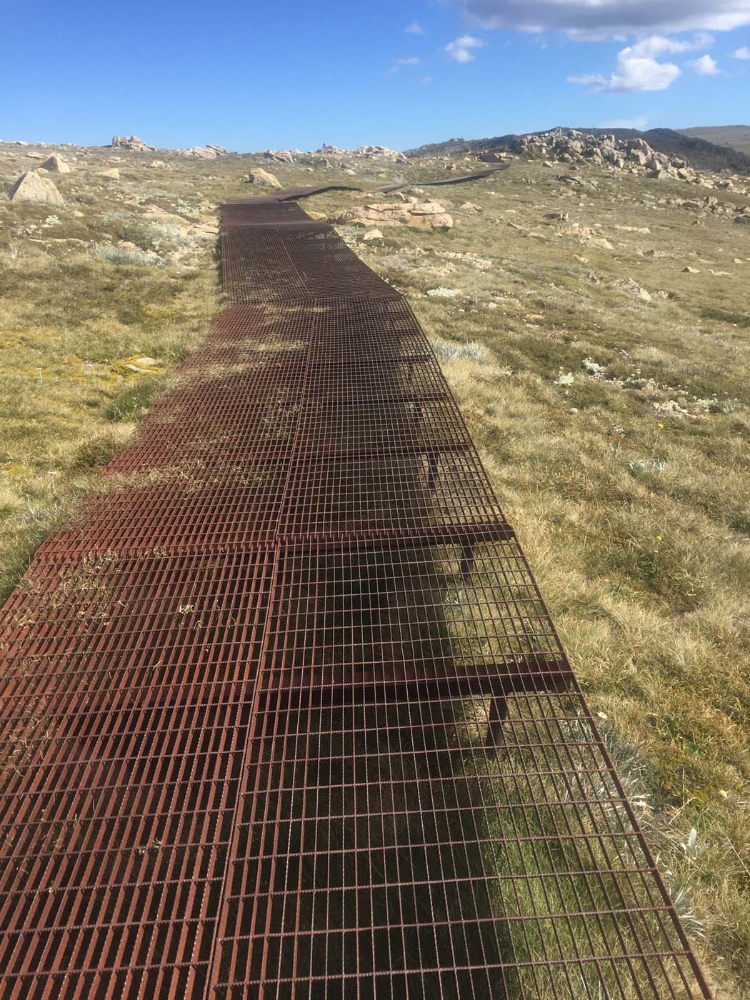 Main range walking track (27)