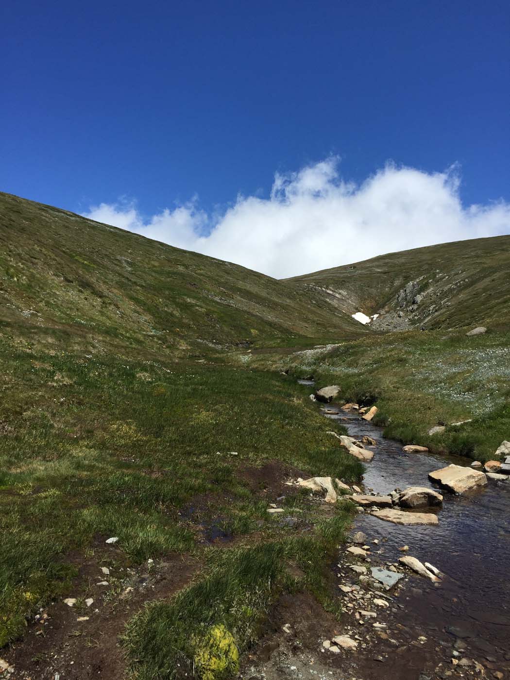 Main range walking track (3)