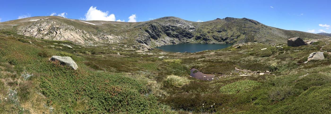 Main range walking track (5)