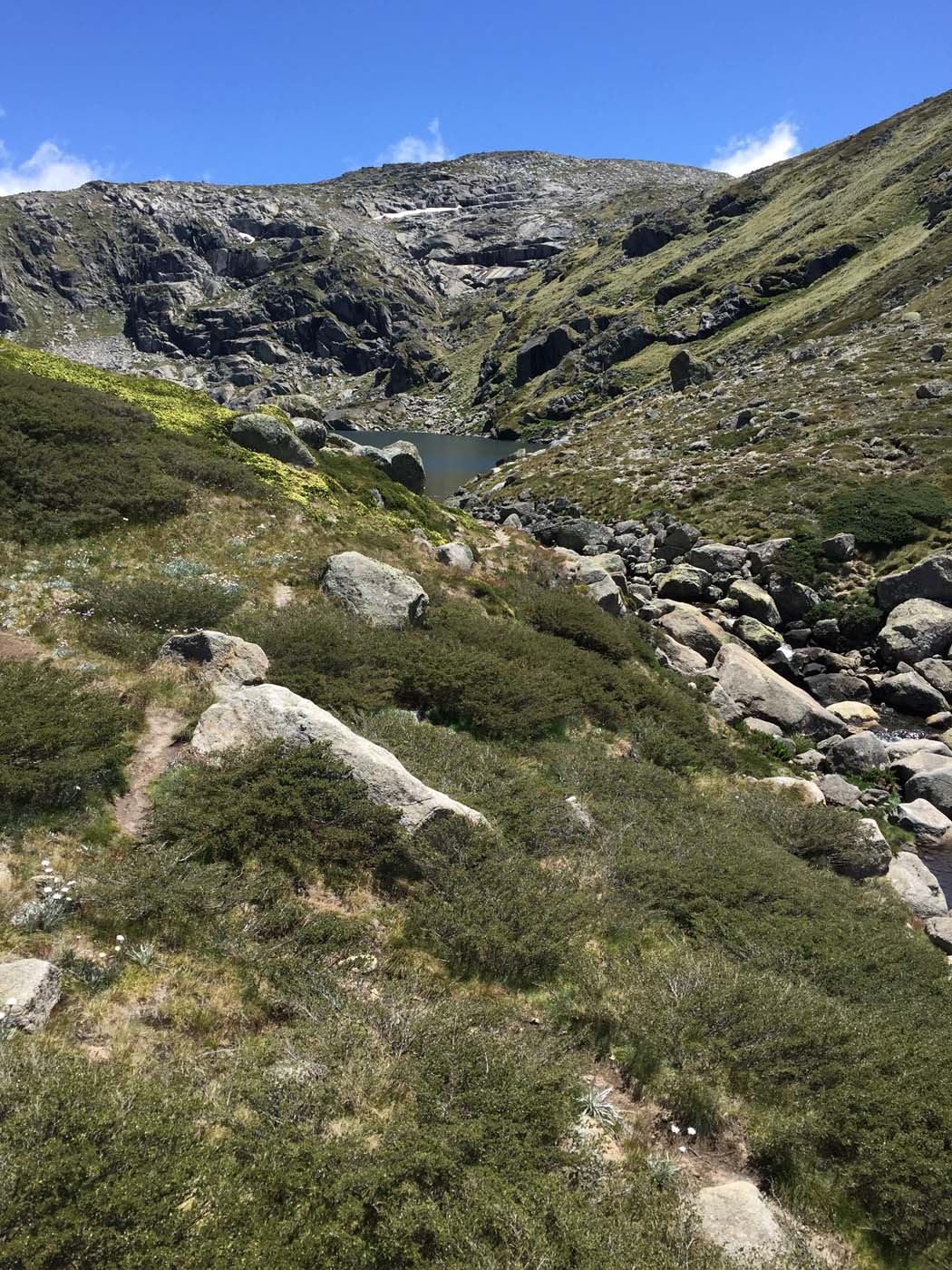 Main range walking track (7)