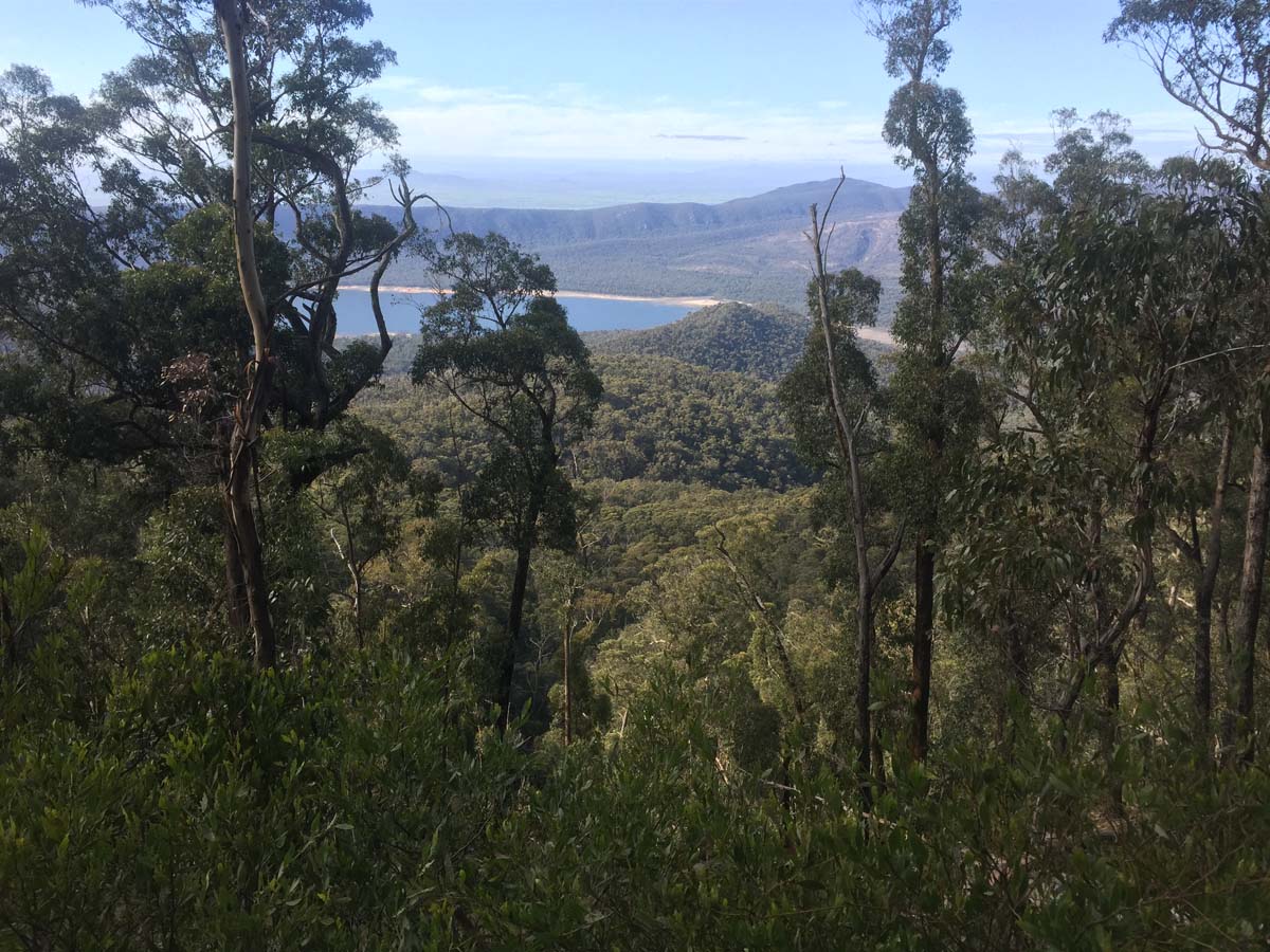 Major mitchell plateau one way hike 24