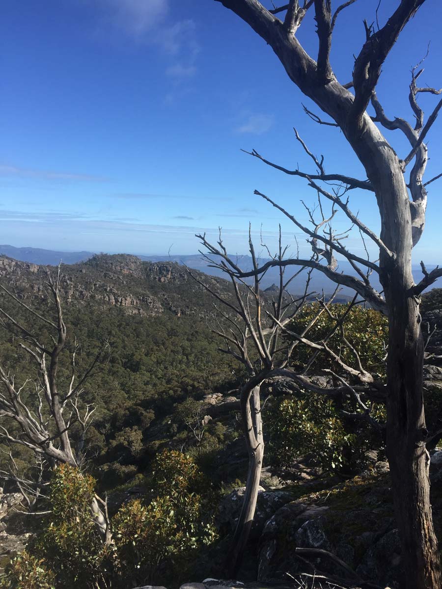 Major mitchell plateau one way hike 26