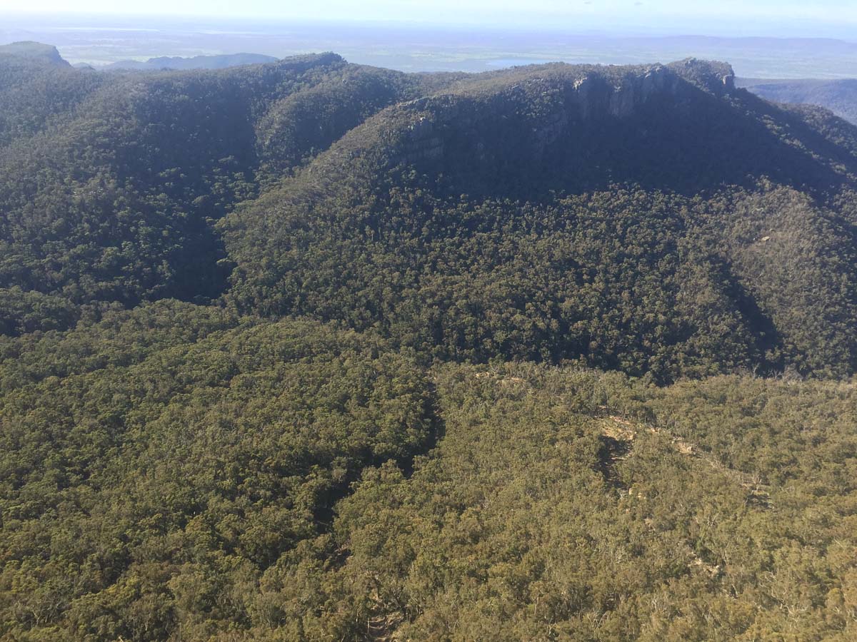 Major mitchell plateau one way hike 37