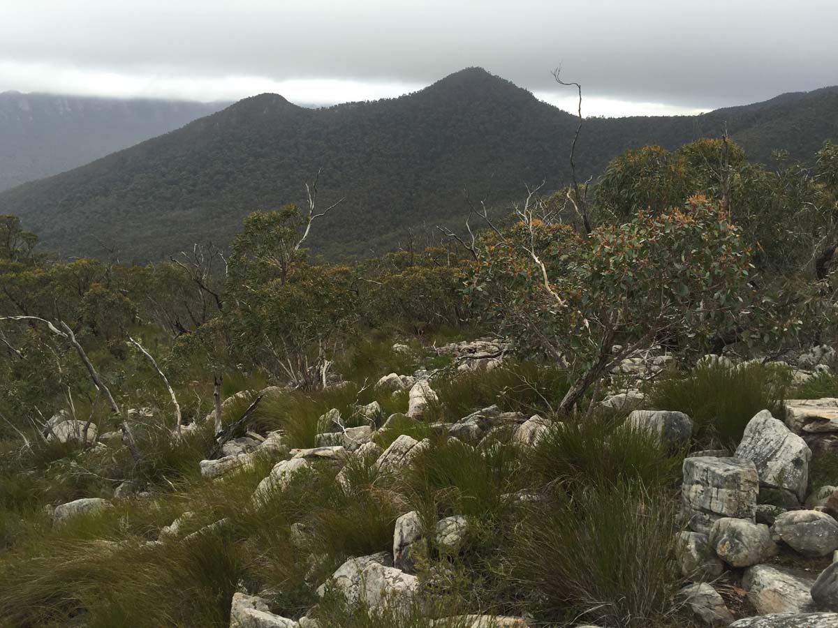 Major mitchell plateau one way hike 4