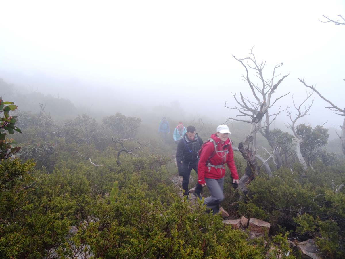 Major mitchell plateau one way hike 53