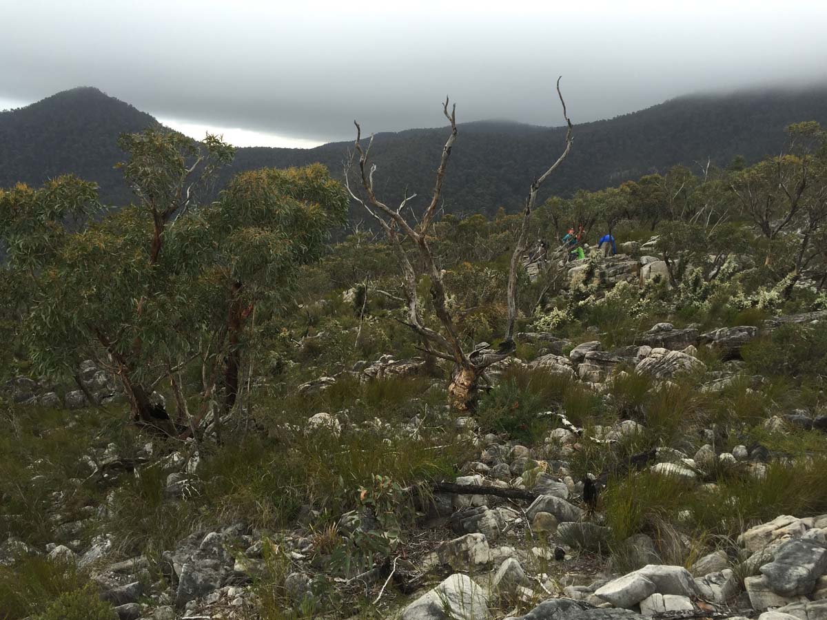 Major mitchell plateau one way hike 6