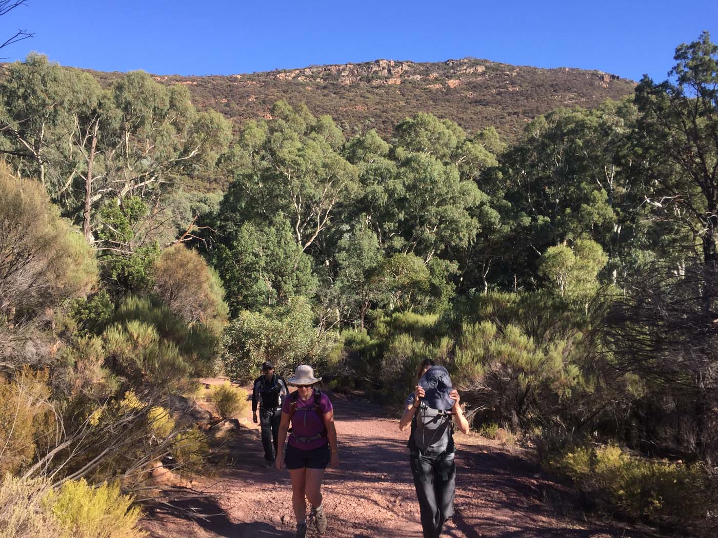 Malloga falls flinders ranges (1)