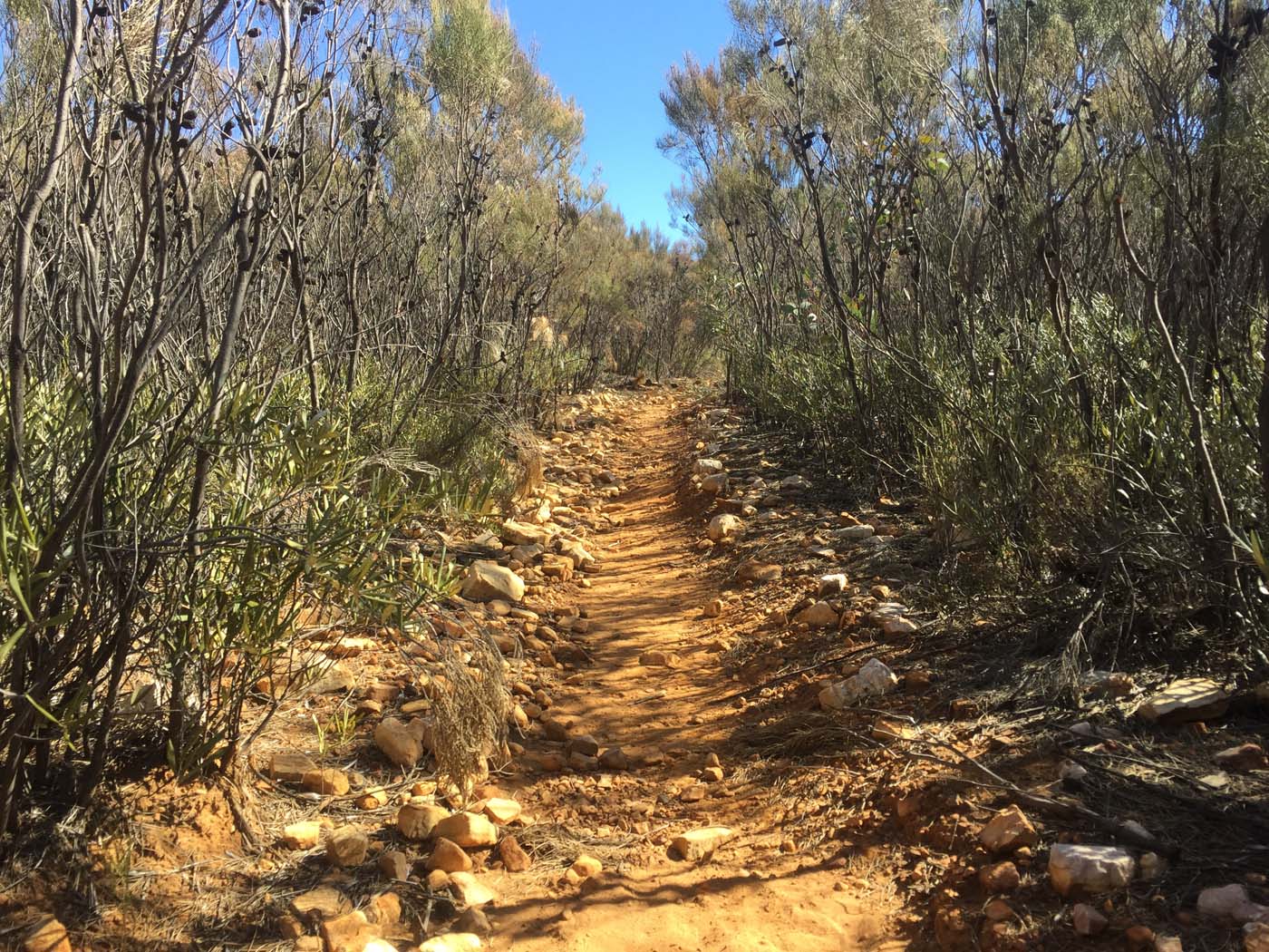 Malloga falls flinders ranges (11)