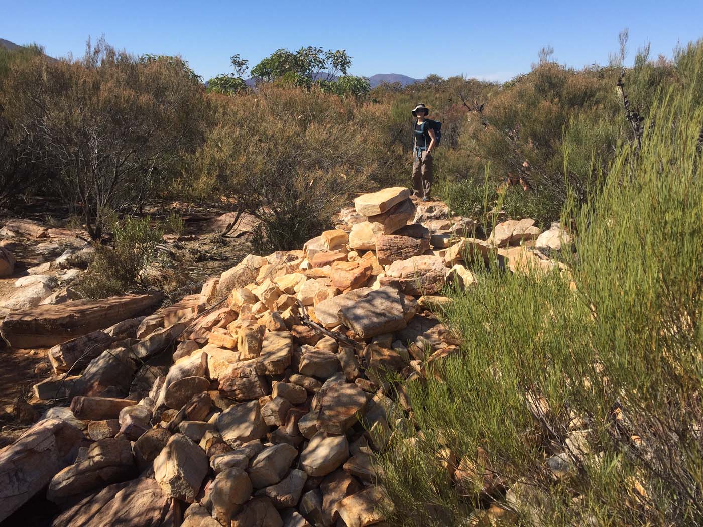 Malloga falls flinders ranges (12)