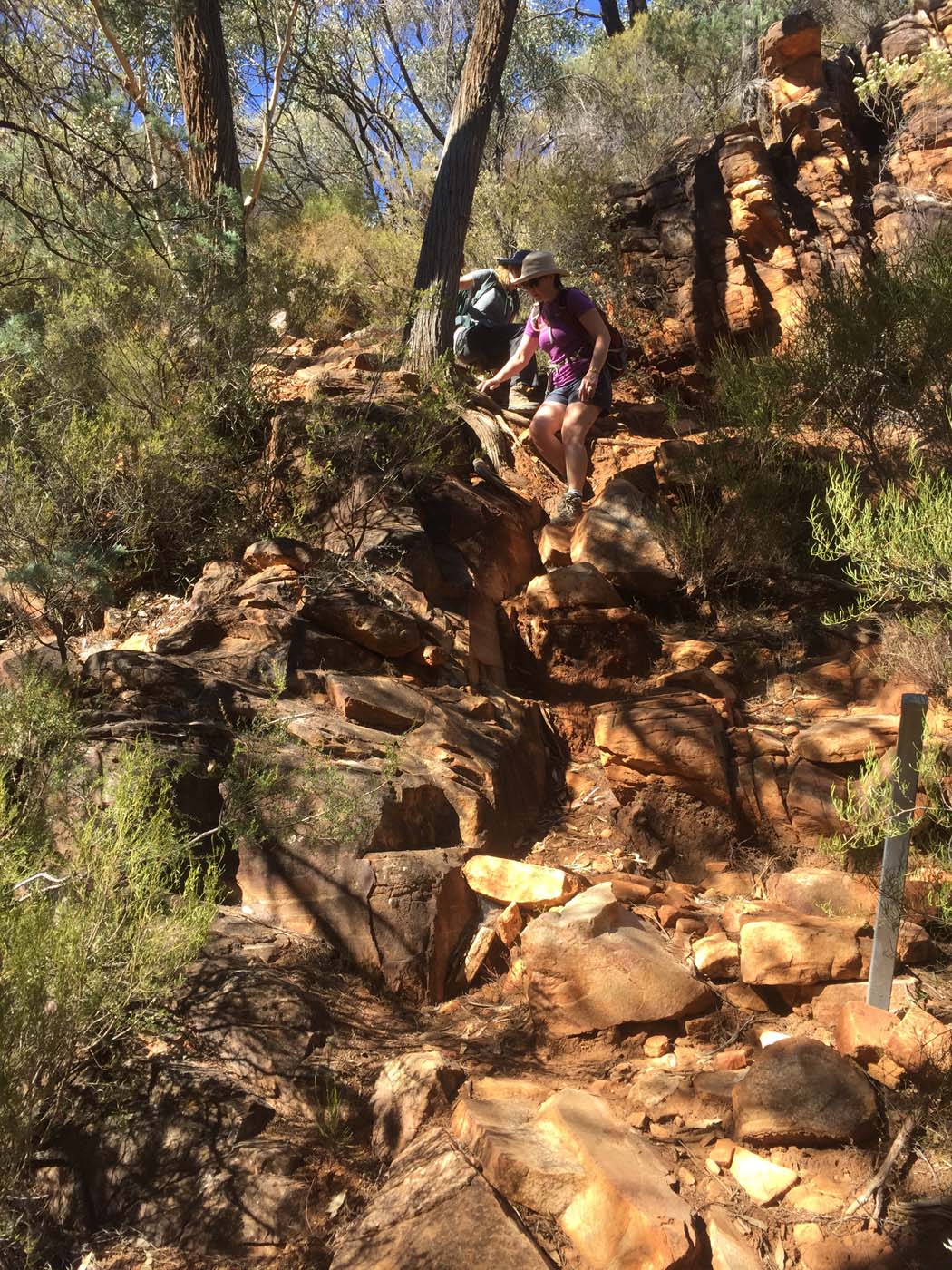 Malloga falls flinders ranges (13)