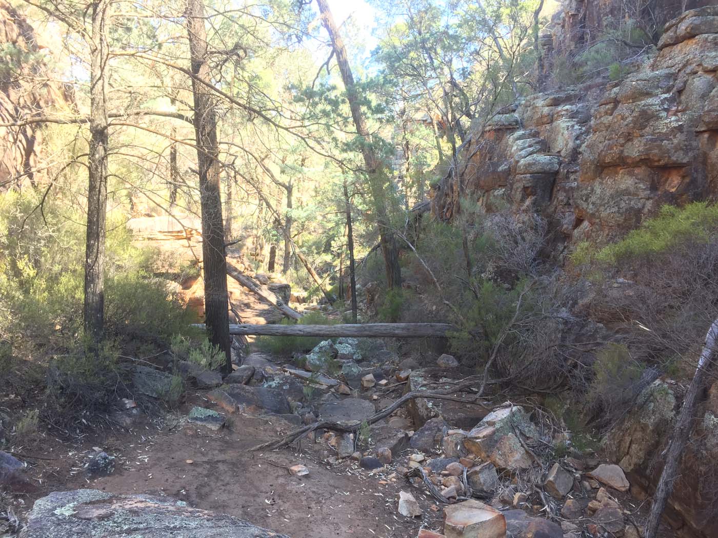 Malloga falls flinders ranges (14)
