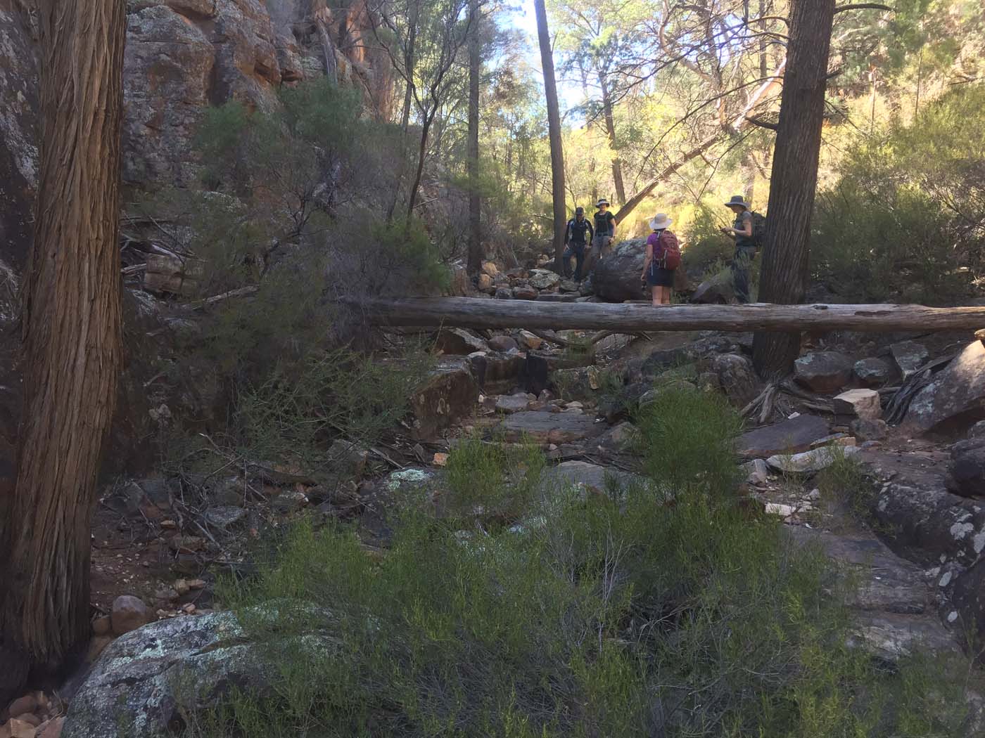Malloga falls flinders ranges (15)