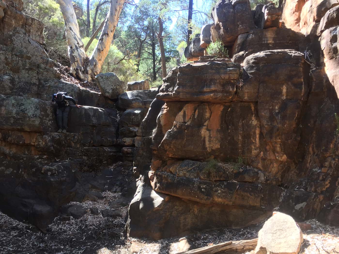Malloga falls flinders ranges (18)