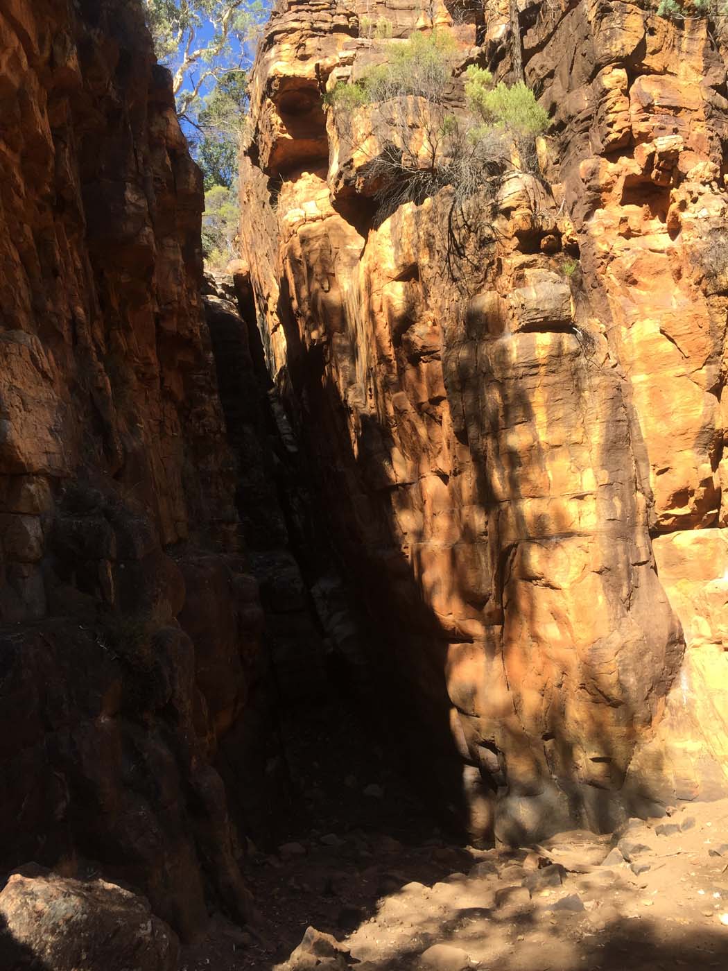 Malloga falls flinders ranges (19)