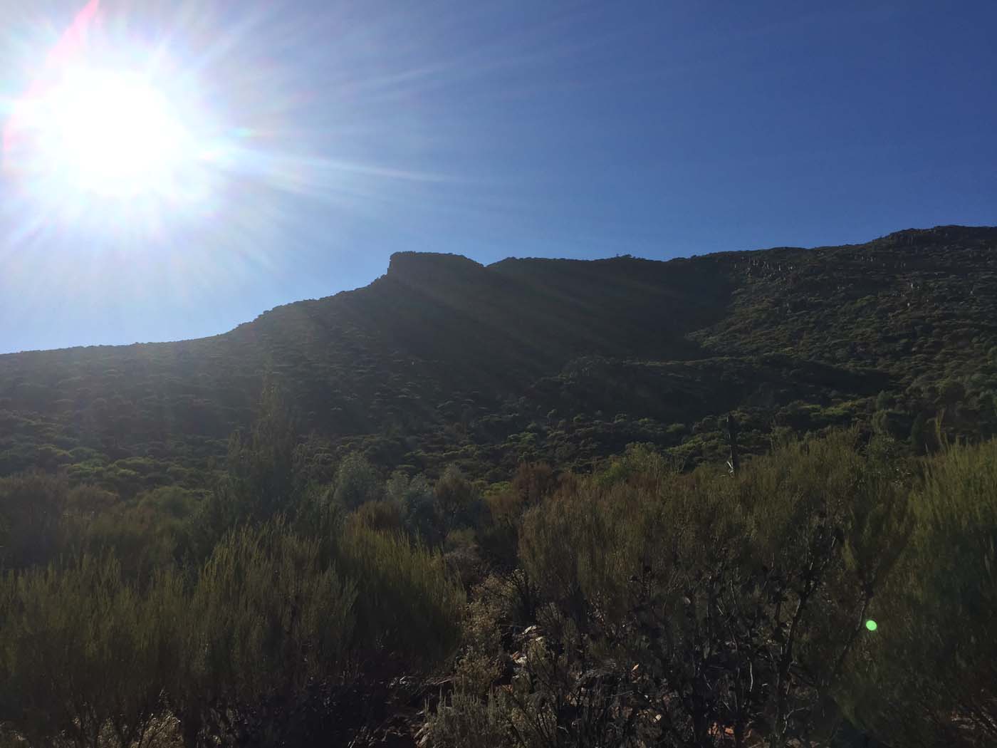 Malloga falls flinders ranges (2)