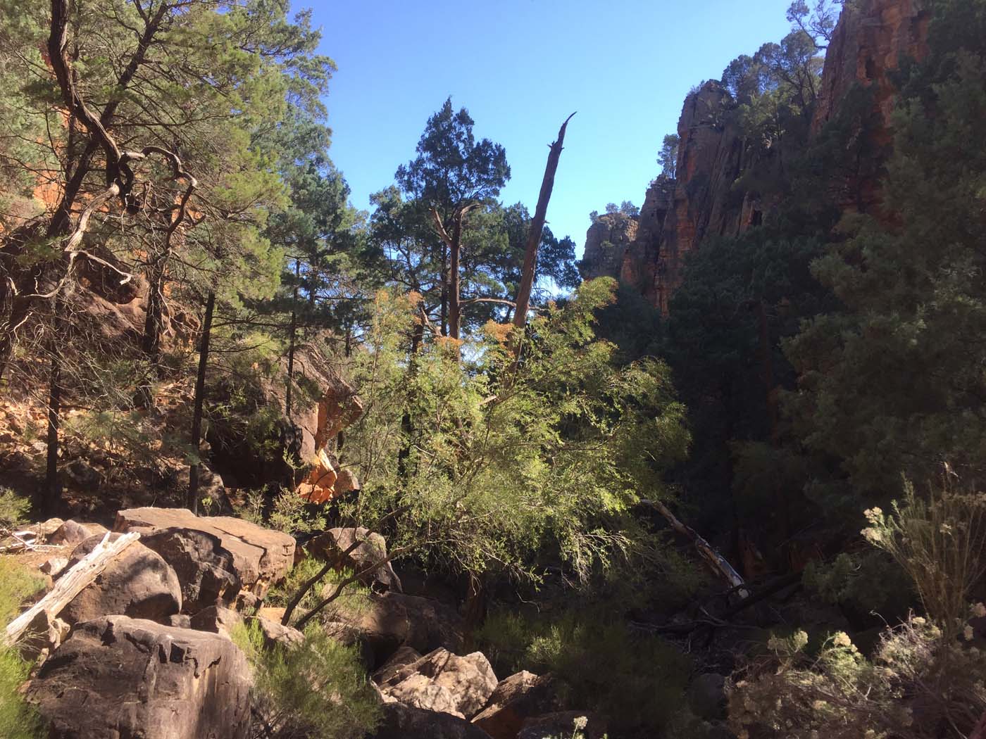 Malloga falls flinders ranges (22)